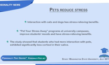 Pets reduce stress